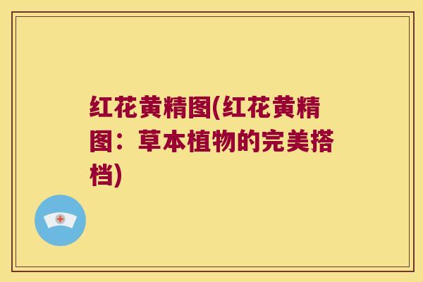 红花黄精图(红花黄精图：草本植物的完美搭档)