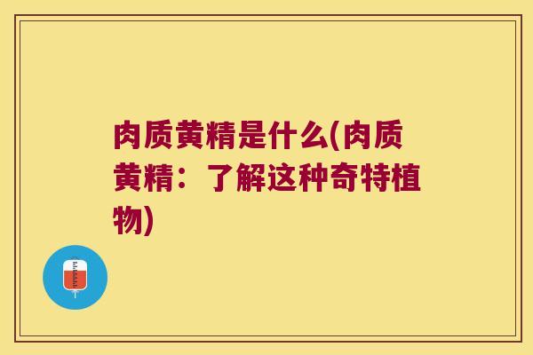 肉质黄精是什么(肉质黄精:了解这种奇特植物) 肉质黄精是什么(肉质黄精:了解这种奇特植物)