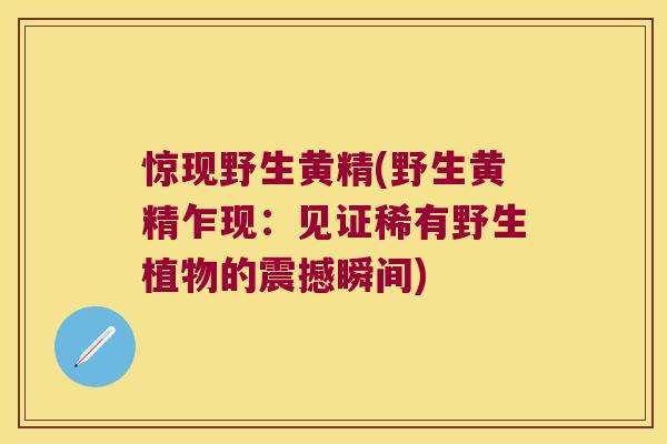 惊现野生黄精(野生黄精乍现：见证稀有野生植物的震撼瞬间)