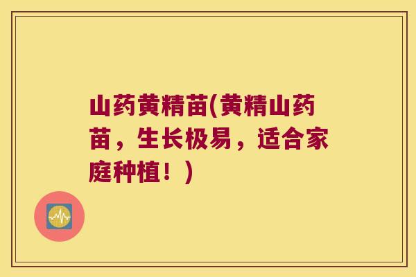 山药黄精苗(黄精山药苗,生长极易,适合家庭种植!) 山药黄精苗(黄精山药苗,生长极易,适合家庭种植!)