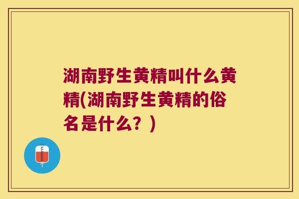 湖南野生黄精叫什么黄精(湖南野生黄精的俗名是什么？)