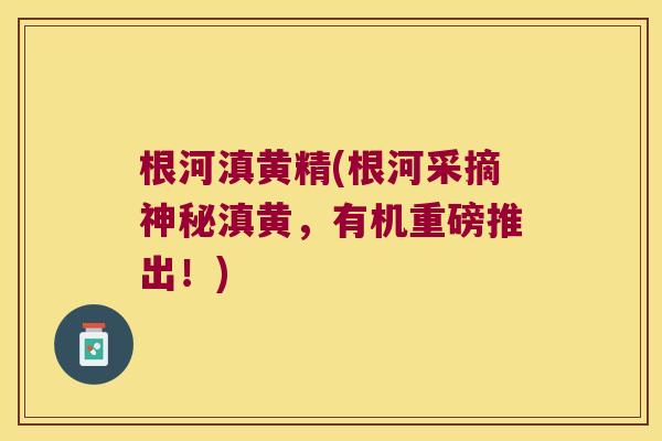 根河滇黄精(根河采摘神秘滇黄，有机重磅推出！)