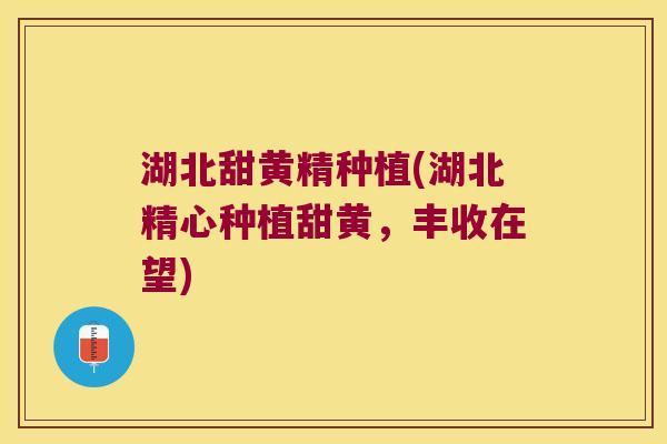 湖北甜黄精种植(湖北精心种植甜黄，丰收在望)