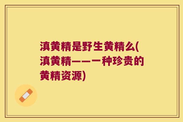 滇黄精是野生黄精么(滇黄精——一种珍贵的黄精资源)