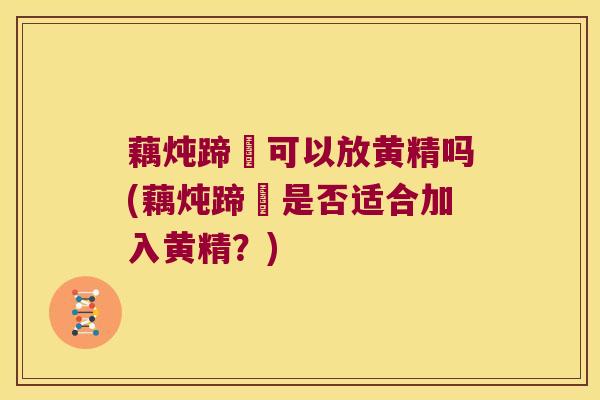 藕炖蹄髈可以放黄精吗(藕炖蹄髈是否适合加入黄精?) 藕炖蹄髈可以放黄精吗(藕炖蹄髈是否适合加入黄精?)