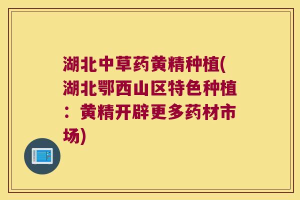 湖北中草药黄精种植(湖北鄂西山区特色种植:黄精开辟更多药材市场) 湖北中草药黄精种植(湖北鄂西山区特色种植:黄精开辟更多药材市场)