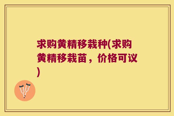 求购黄精移栽种(求购黄精移栽苗，价格可议)