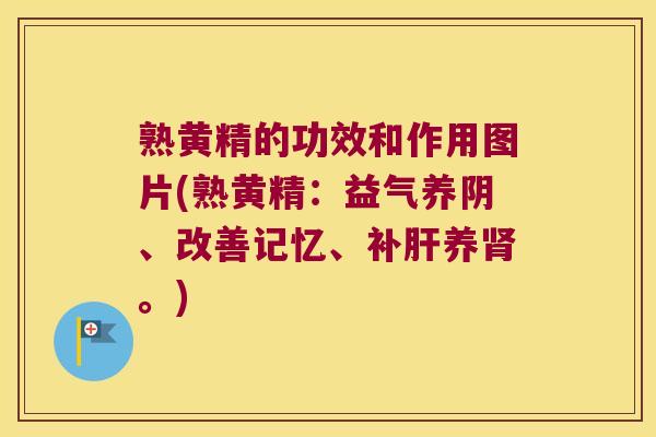 熟黄精的功效和作用图片(熟黄精：益气养阴、改善记忆、补养。)