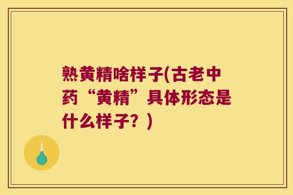 熟黄精啥样子(古老“黄精”具体形态是什么样子?) 熟黄精啥样子(古老“黄精”具体形态是什么样子?)