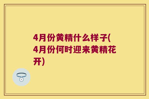 4月份黄精什么样子(4月份何时迎来黄精花开)