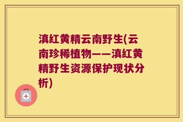 滇红黄精云南野生(云南珍稀植物——滇红黄精野生资源保护现状分析)