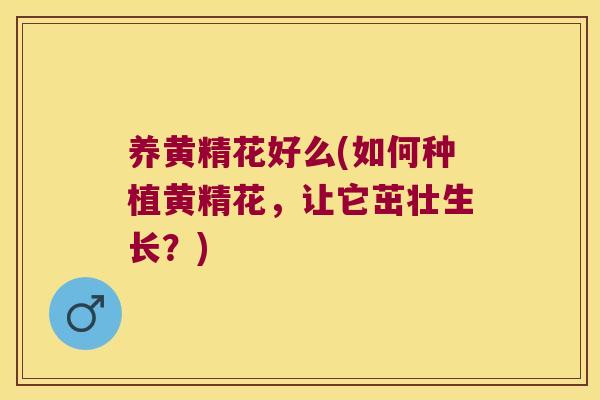 养黄精花好么(如何种植黄精花，让它茁壮生长？)