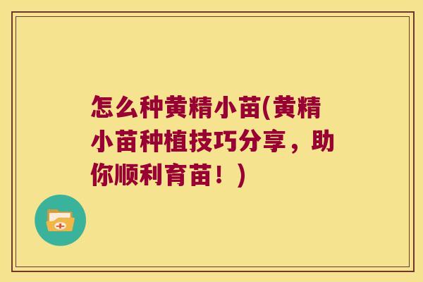 怎么种黄精小苗(黄精小苗种植技巧分享，助你顺利育苗！)