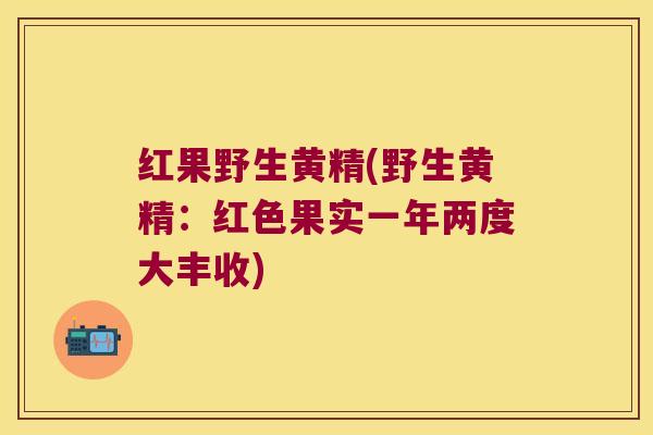 红果野生黄精(野生黄精：红色果实一年两度大丰收)