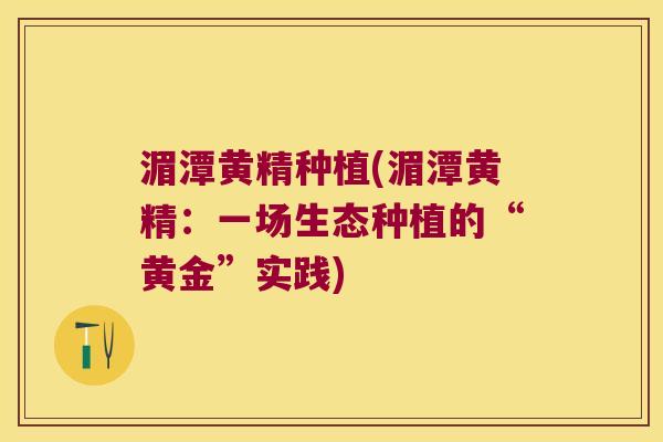 湄潭黄精种植(湄潭黄精：一场生态种植的“黄金”实践)
