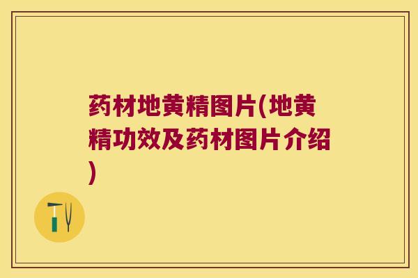 药材地黄精图片(地黄精功效及药材图片介绍)