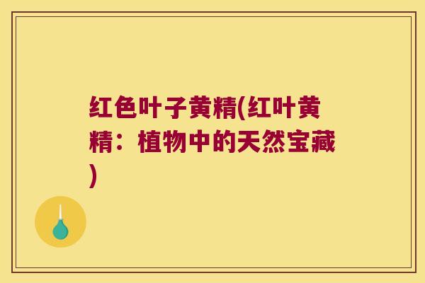 红色叶子黄精(红叶黄精:植物中的天然宝藏) 红色叶子黄精(红叶黄精:植物中的天然宝藏)