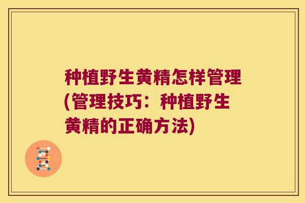 种植野生黄精怎样管理(管理技巧：种植野生黄精的正确方法)