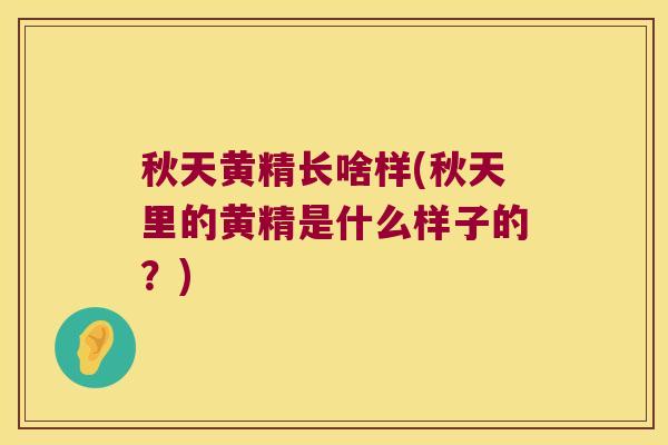 秋天黄精长啥样(秋天里的黄精是什么样子的？)
