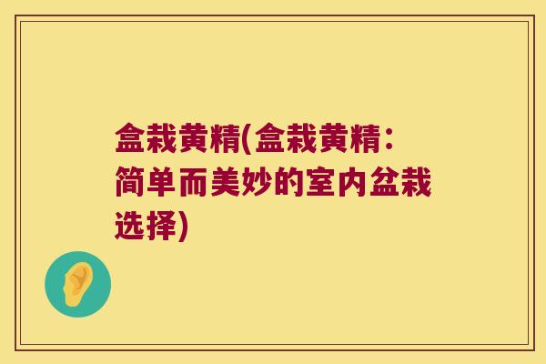 盒栽黄精(盒栽黄精：简单而美妙的室内盆栽选择)