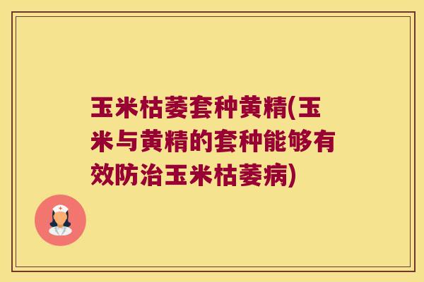 玉米枯萎套种黄精(玉米与黄精的套种能够有效防治玉米枯萎病)