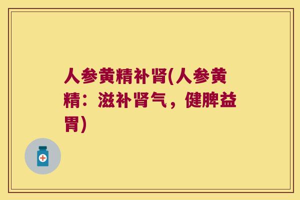 人参黄精补肾(人参黄精：滋补肾气，健脾益胃)