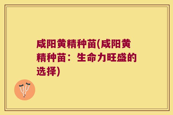 咸阳黄精种苗(咸阳黄精种苗：生命力旺盛的选择)