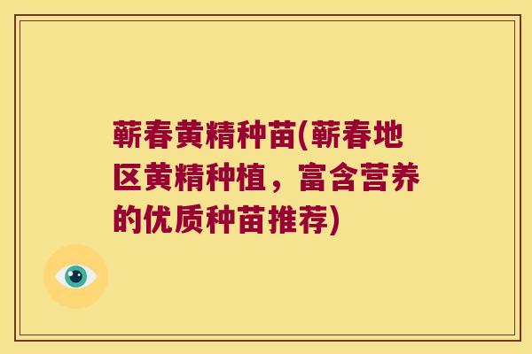 蕲春黄精种苗(蕲春地区黄精种植，富含营养的优质种苗推荐)