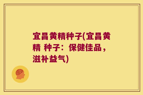 宜昌黄精种子(宜昌黄精 种子：保健佳品，滋补益气)
