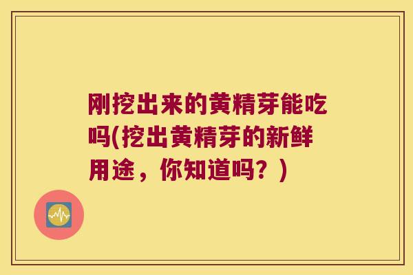 刚挖出来的黄精芽能吃吗(挖出黄精芽的新鲜用途，你知道吗？)