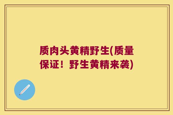 质肉头黄精野生(质量保证！野生黄精来袭)