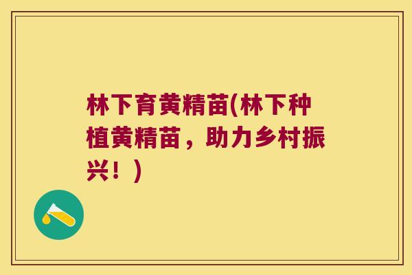 林下育黄精苗(林下种植黄精苗，助力乡村振兴！)