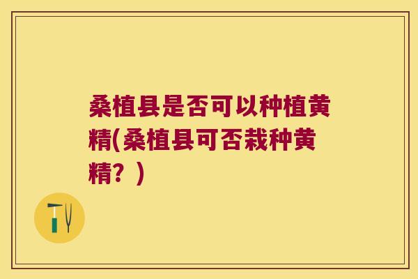桑植县是否可以种植黄精(桑植县可否栽种黄精？)