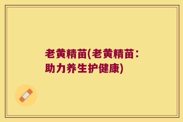 老黄精苗(老黄精苗：助力养生护健康)
