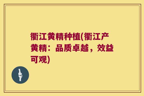 衢江黄精种植(衢江产黄精：品质卓越，效益可观)