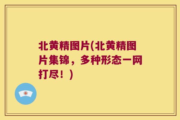 北黄精图片(北黄精图片集锦，多种形态一网打尽！)