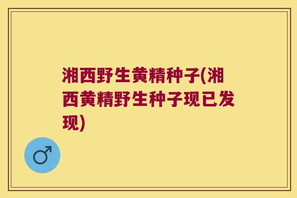 湘西野生黄精种子(湘西黄精野生种子现已发现)