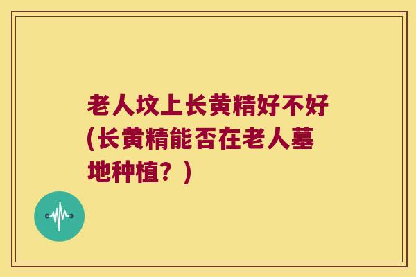 老人坟上长黄精好不好(长黄精能否在老人墓地种植？)