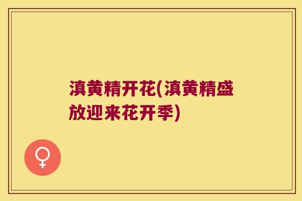 滇黄精开花(滇黄精盛放迎来花开季)
