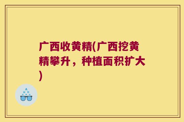 广西收黄精(广西挖黄精攀升，种植面积扩大)