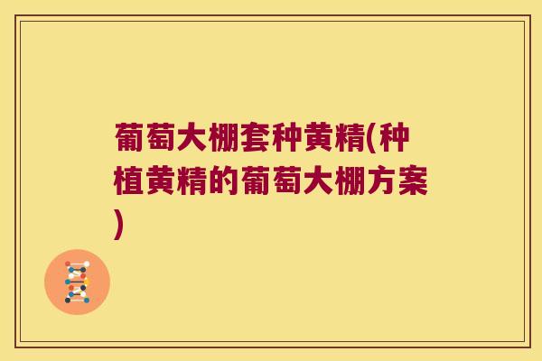 葡萄大棚套种黄精(种植黄精的葡萄大棚方案)