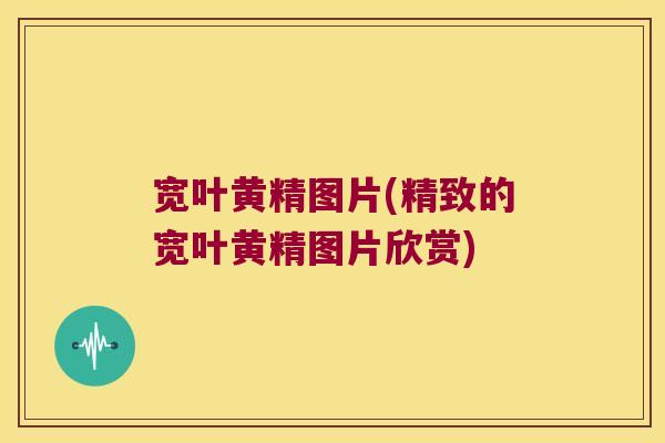 宽叶黄精图片(精致的宽叶黄精图片欣赏)