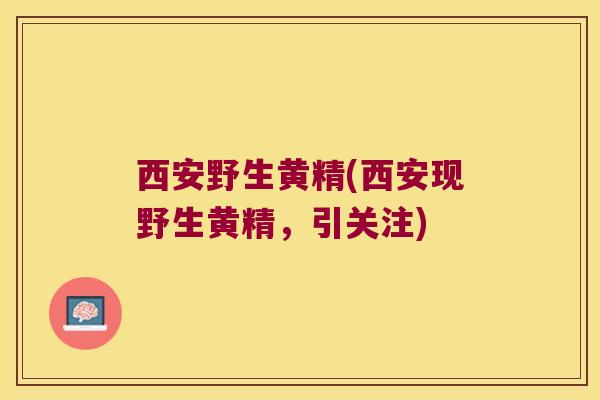 西安野生黄精(西安现野生黄精，引关注)