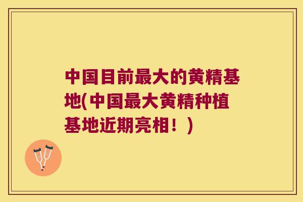 中国目前最大的黄精基地(中国最大黄精种植基地近期亮相！)