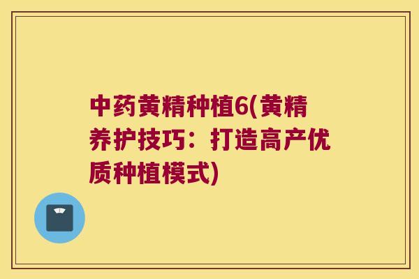 中药黄精种植6(黄精养护技巧：打造高产优质种植模式)