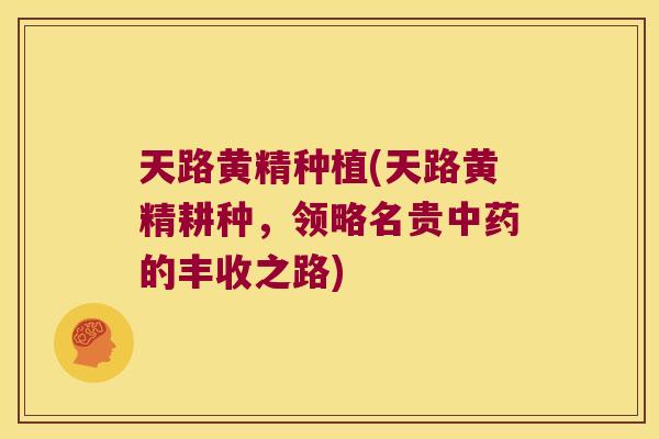 天路黄精种植(天路黄精耕种，领略名贵的丰收之路)