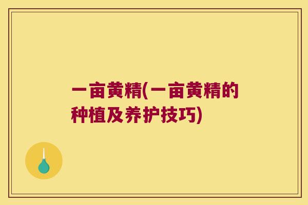 一亩黄精(一亩黄精的种植及养护技巧)