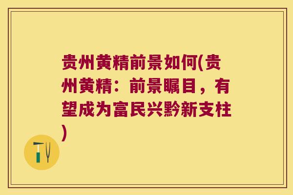 贵州黄精前景如何(贵州黄精：前景瞩目，有望成为富民兴黔新支柱)