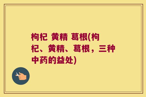 枸杞 黄精 葛根(枸杞、黄精、葛根，三种中药的益处)