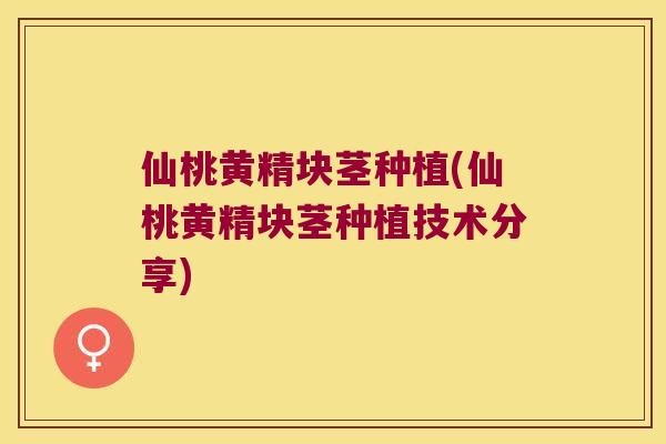 仙桃黄精块茎种植(仙桃黄精块茎种植技术分享)